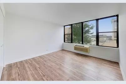 345 E Eastgate Place #302, Chicago, IL 60616 - Photo 14