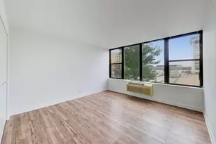 345 E Eastgate Pl, Chicago, IL 60616 - Photo 14