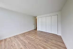 345 E Eastgate Pl, Chicago, IL 60616 - Photo 20