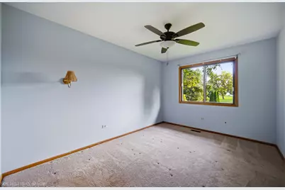 2211 Jackson Branch Drive, New Lenox, IL 60451 - Photo 14