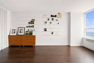 4800 S Chicago Beach Dr, Chicago, IL 60615 - Photo 14