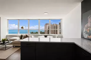 4800 S Chicago Beach Dr, Chicago, IL 60615 - Photo 10