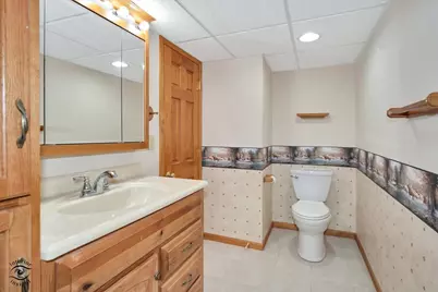 826 Deerpath Lane, Elwood, IL 60421 - Photo 24