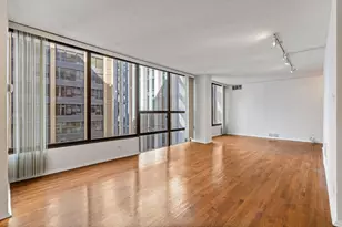 230 E Ontario St, Chicago, IL 60611 - Photo 8