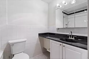 230 E Ontario St, Chicago, IL 60611 - Photo 26