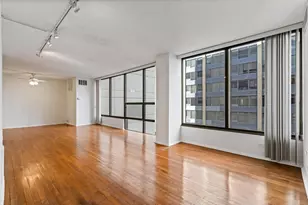 230 E Ontario St, Chicago, IL 60611 - Photo 10