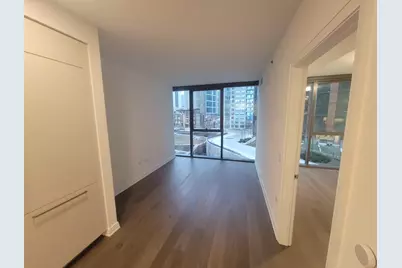 211 N Harbor Drive #307, Chicago, IL 60601 - Photo 2