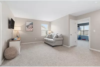 17212 Donegal Street, Tinley Park, IL 60477 - Photo 20