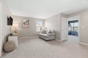 17212 Donegal St, Tinley Park, IL 60477 - Photo 20