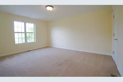 19907 S Edinburgh Lane, Frankfort, IL 60423 - Photo 12