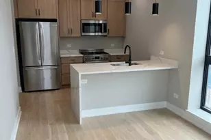 1073 W Polk St, Chicago, IL 60607 - Photo 2