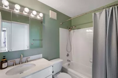 111 W Maple Street #1601, Chicago, IL 60610 - Photo 12