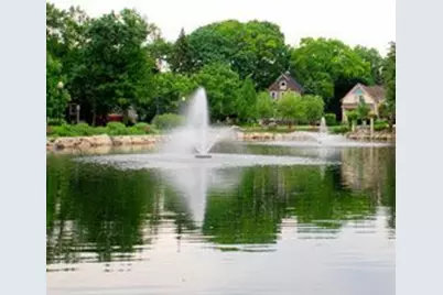 4541 Forest Avenue, Downers Grove, IL 60515 - Photo 24