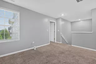 1307 Fawnlily Cir, Joliet, IL 60431 - Photo 24
