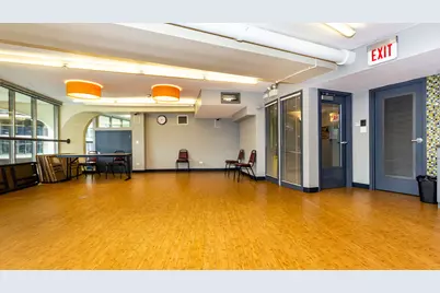 300 N State Street #4312, Chicago, IL 60654 - Photo 24