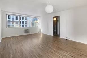 253 E Delaware Pl, Chicago, IL 60611 - Photo 2
