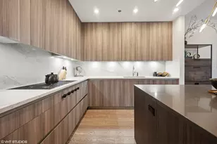403 N Wabash Ave, Chicago, IL 60611 - Photo 10