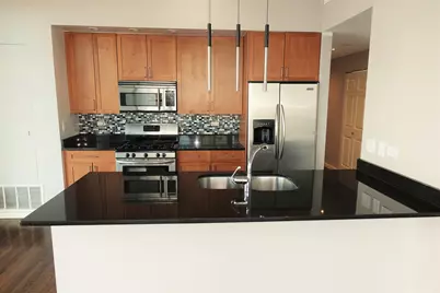 1620 S Michigan Avenue #1105, Chicago, IL 60616 - Photo 2