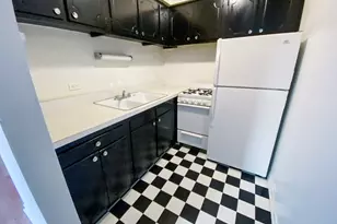 516 W Melrose St, Chicago, IL 60657 - Photo 4