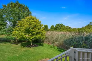 131 Katrina Ln, Algonquin, IL 60102 - Photo 18
