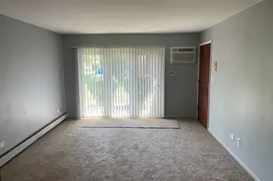 106 Olesen Dr, Naperville, IL 60540 - Photo 20