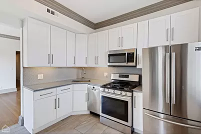 4745 S St. Lawrence Avenue, Chicago, IL 60615 - Photo 62