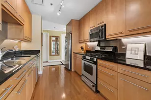 250 E Pearson St, Chicago, IL 60611 - Photo 10