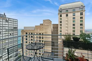250 E Pearson St, Chicago, IL 60611 - Photo 20