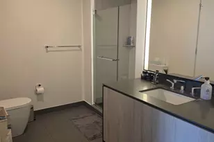 1210 S Indiana Ave, Chicago, IL 60605 - Photo 10