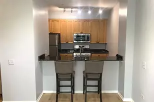 330 N Jefferson St, Chicago, IL 60661 - Photo 4