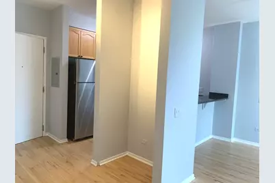 330 N Jefferson Street #2203, Chicago, IL 60661 - Photo 6