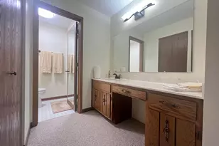 9811 W Creek Rd, Palos Park, IL 60464 - Photo 14