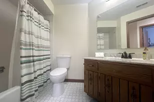 9811 W Creek Rd, Palos Park, IL 60464 - Photo 12