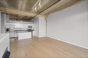 833 W 15th Pl, Chicago, IL 60608 - Photo 6