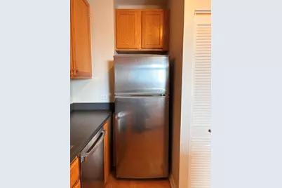 1111 S Wabash Avenue #909, Chicago, IL 60605 - Photo 14