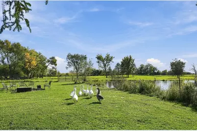26435 S Harvest Lane, Crete, IL 60417 - Photo 6