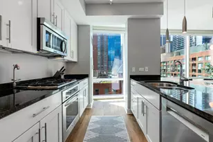 505 N McClurg Ct, Chicago, IL 60611 - Photo 12