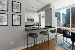 505 N McClurg Ct, Chicago, IL 60611 - Photo 6