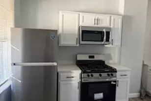 8211 S Escanaba Ave, Chicago, IL 60617 - Photo 6