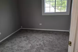 3013 Dorothy Dr, Aurora, IL 60504 - Photo 20