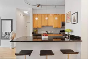 421 W Huron St, Chicago, IL 60654 - Photo 8