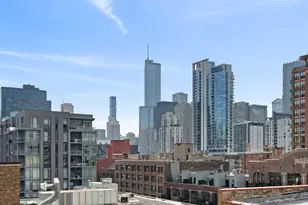 421 W Huron St, Chicago, IL 60654 - Photo 16