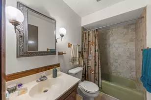 105 Appletree Ct, Yorkville, IL 60560 - Photo 30