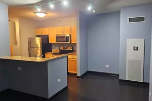222 N Columbus Dr, Chicago, IL 60601 - Photo 4