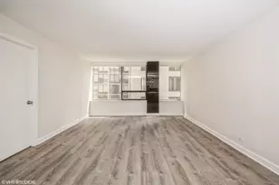 233 E Erie St, Chicago, IL 60611 - Photo 4