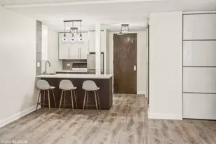 233 E Erie St, Chicago, IL 60611 - Photo 6