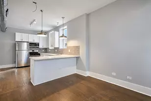 2117 W 18th St, Chicago, IL 60608 - Photo 2