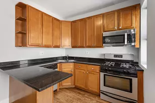 7324 N Damen Ave, Chicago, IL 60645 - Photo 4