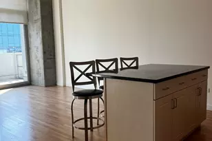 1720 S Michigan Ave, Chicago, IL 60616 - Photo 4