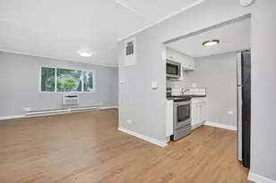 315 W Kimbell Ave, Elmhurst, IL 60126 - Photo 4